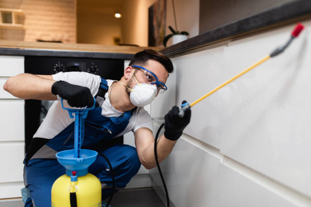 Wasp Removal Services in Galliano, LA