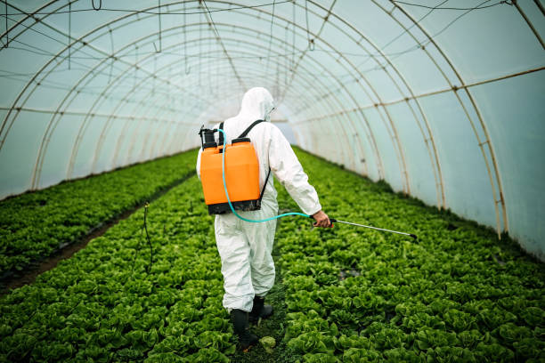 Best Mosquito Control Services  in Galliano, LA