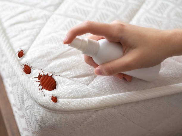 Best Pest Inspection Near Me  in Galliano, LA