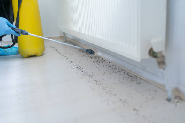 Best Pest Prevention Services  in Galliano, LA