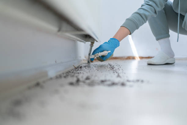 Best Pest Removal Services  in Galliano, LA
